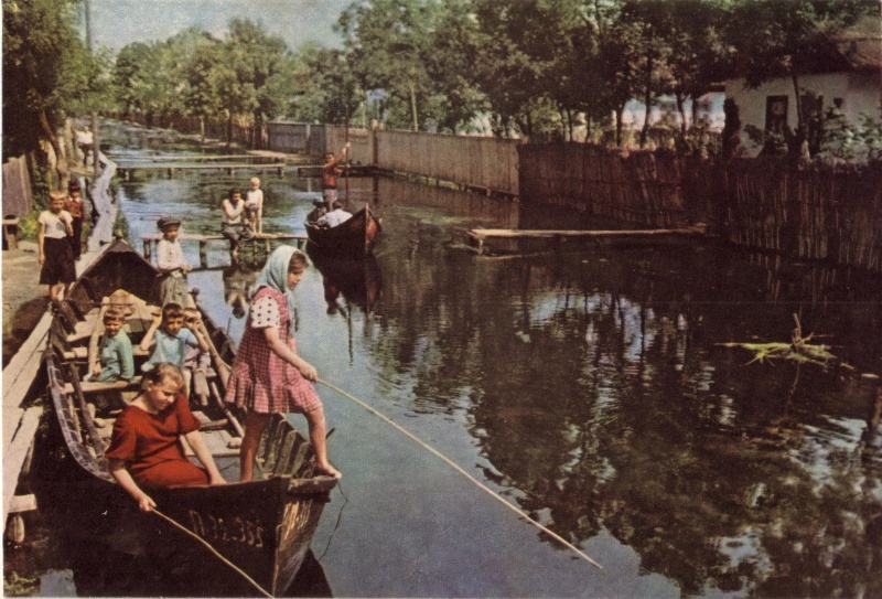 Файл:Вилково, Дунайские плавни 1962 г.JPG